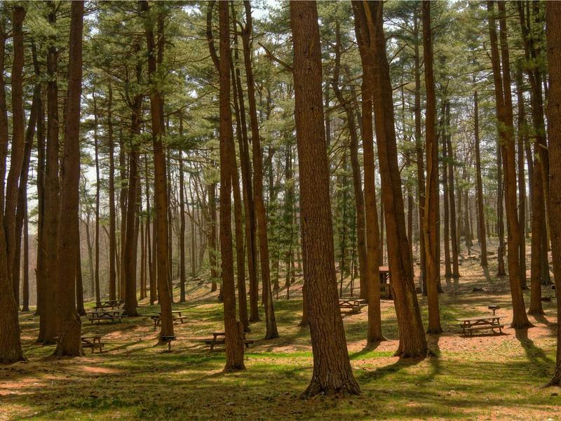 sudoku pattern learning screenshot 1